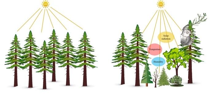 最新研究表明：滇金丝猴折断树枝，不是“搞破坏”！